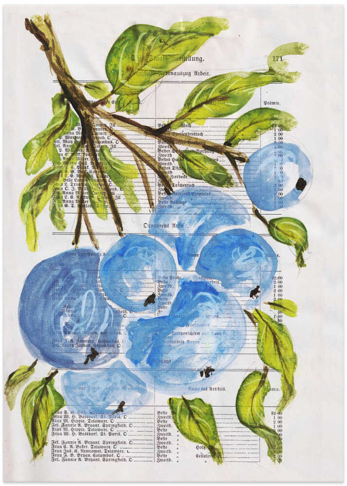 Branch with blue berries Nature study with watercolors