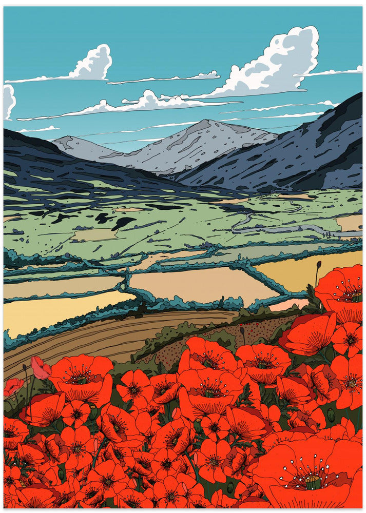 Poppies In The Valley