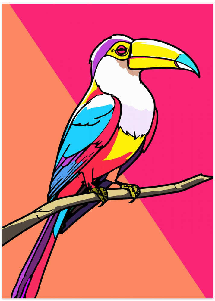 Toucan Tango 1