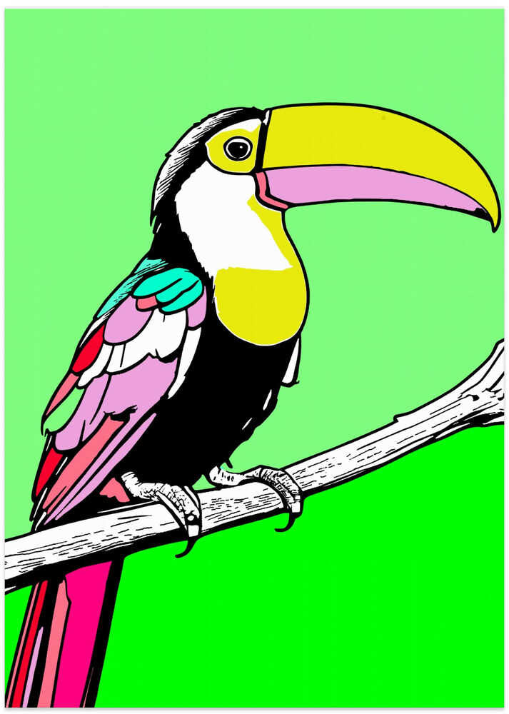 Toucan Tango 3