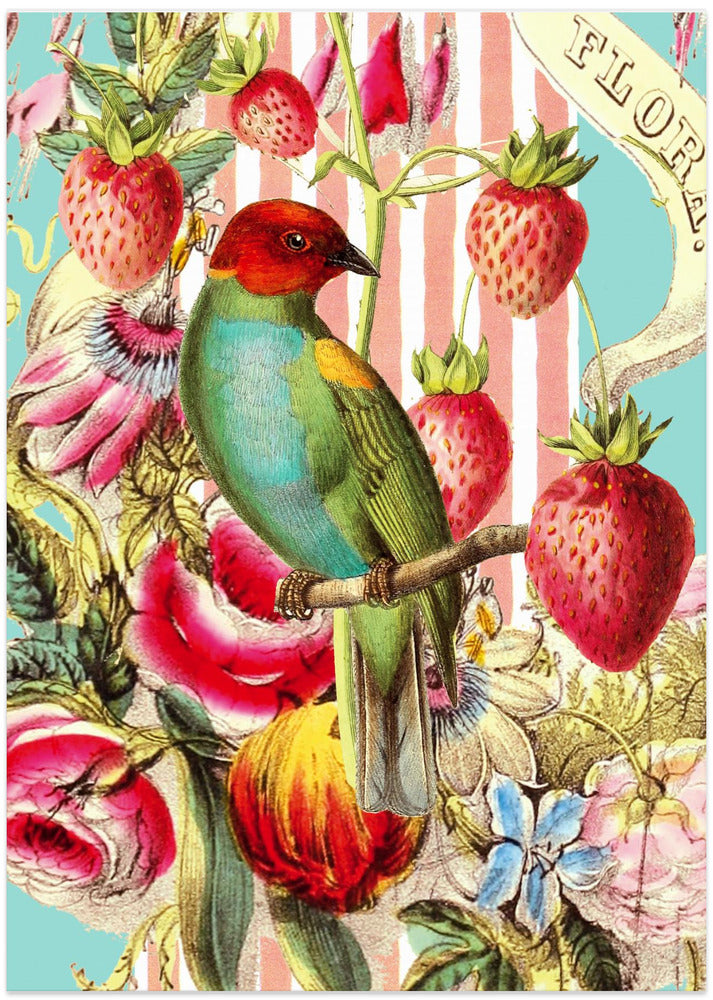 Strawberry Bird Striped