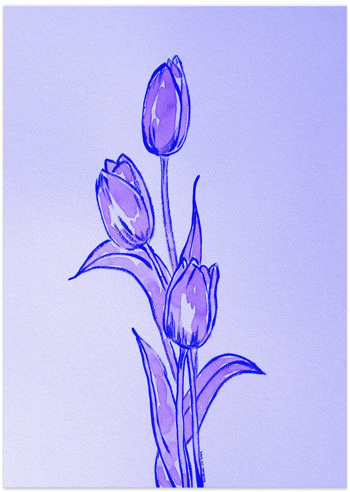 Lavender Tulip Trio