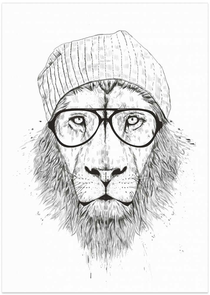 Cool Lion Bw