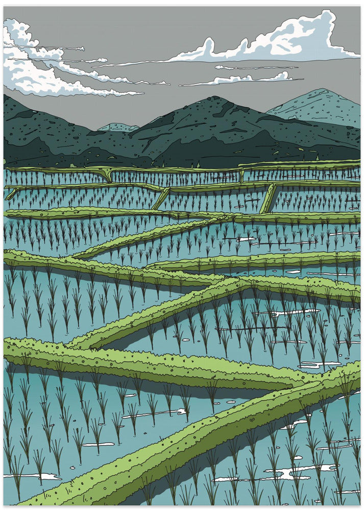 Chinese Paddy Fields