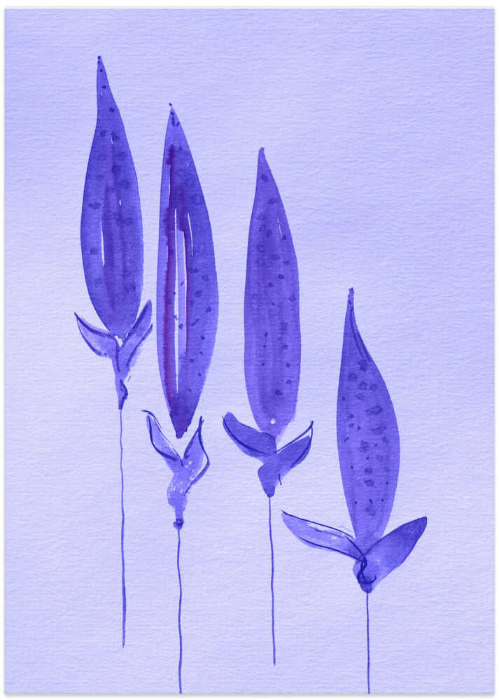 Violet Petal Whispers