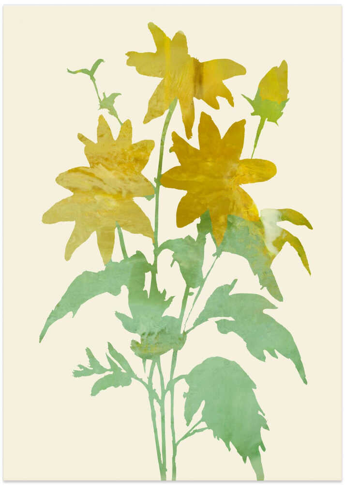 Golden Solstice Hues