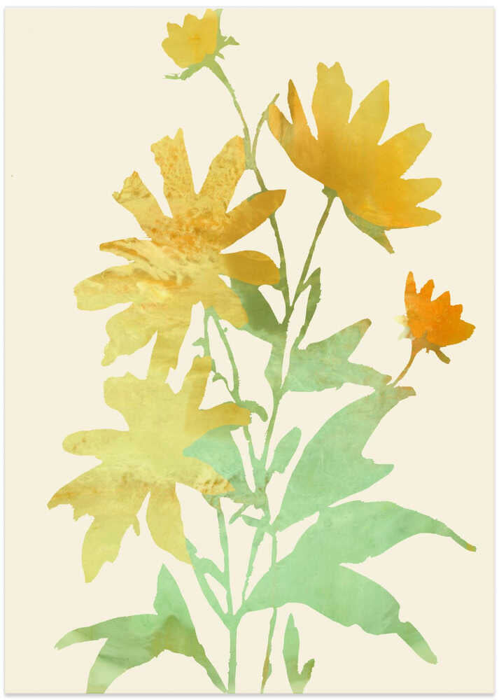 Summer Solstice Blooms