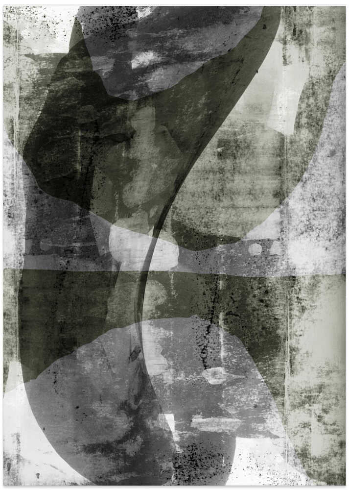 Echoes in Monochrome