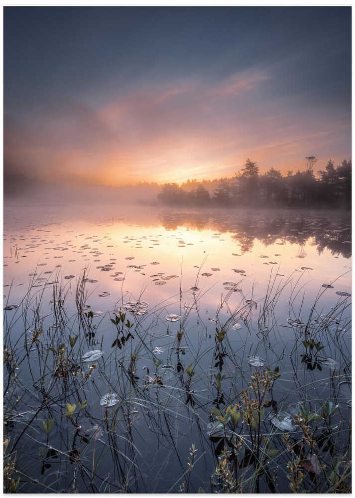 If you could stop time