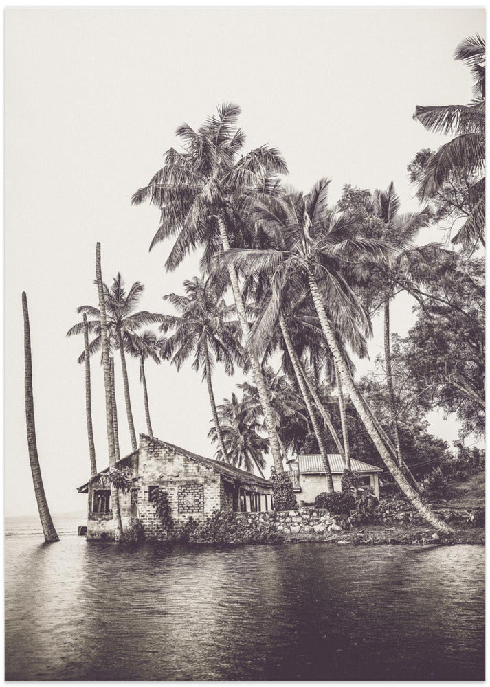 Tropical scene in Uganda