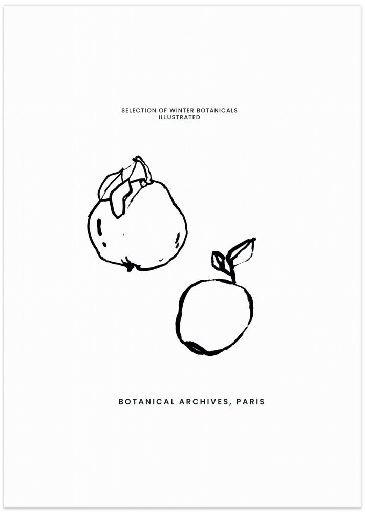 Abstractbotanicsno07