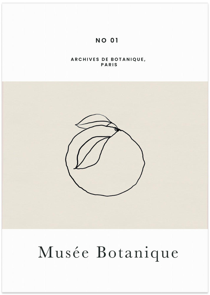 Abstractbotanicsno13