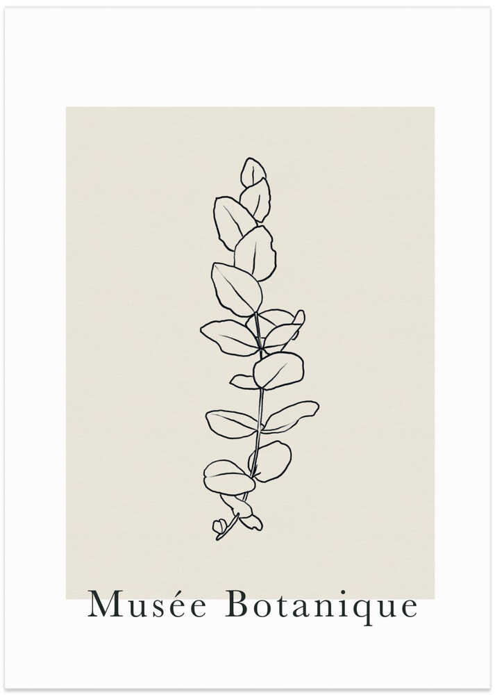 Abstractbotanicsno14