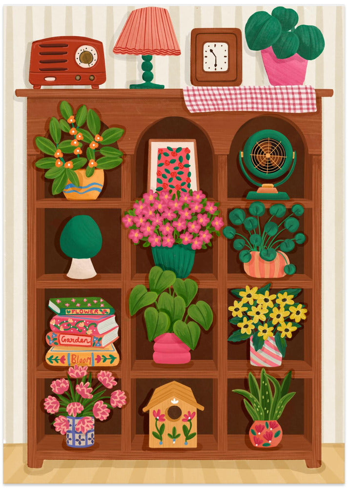 Spring Shelf