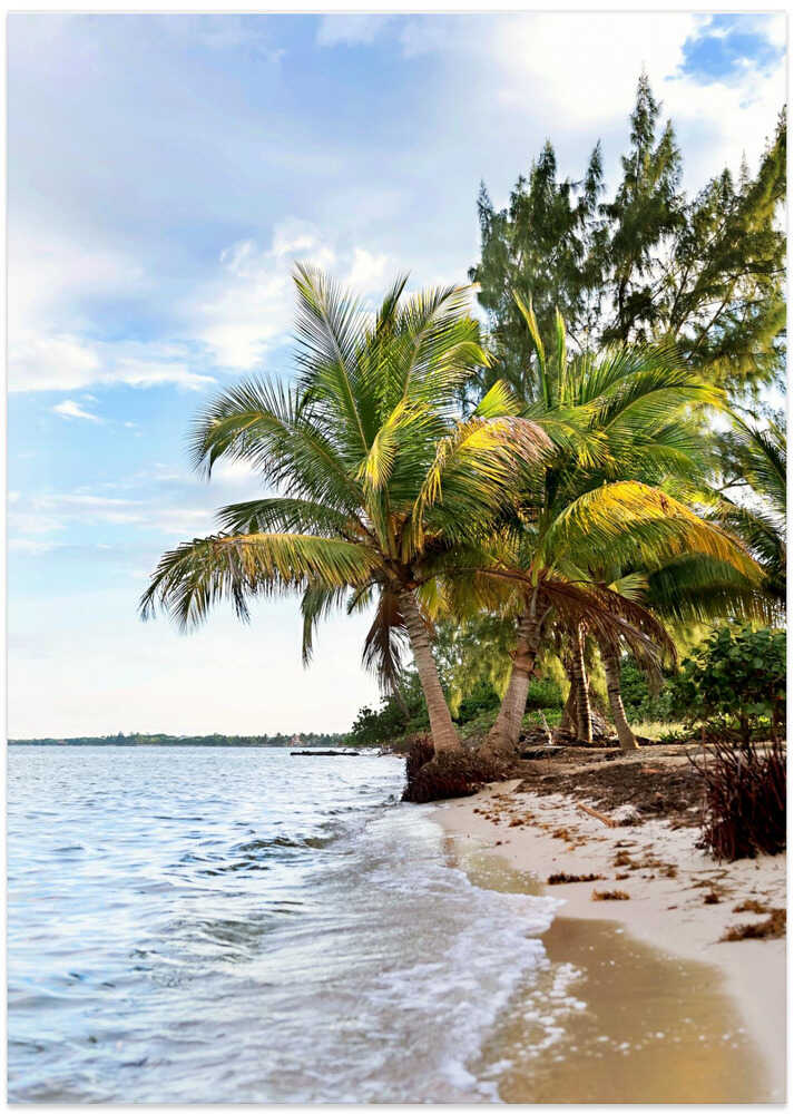 Tropical Ocean in Belize