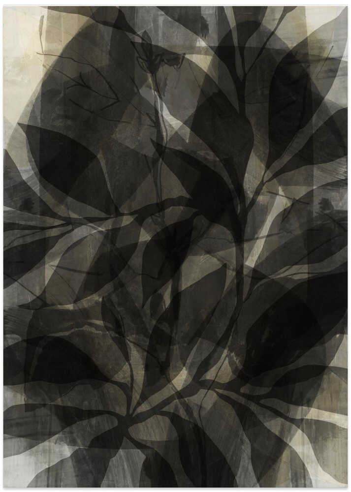 Midnight Garden Layers