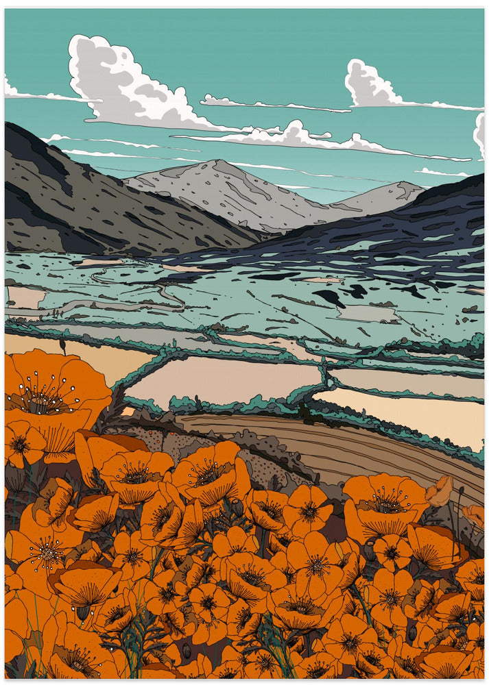 Poppies In The Valley