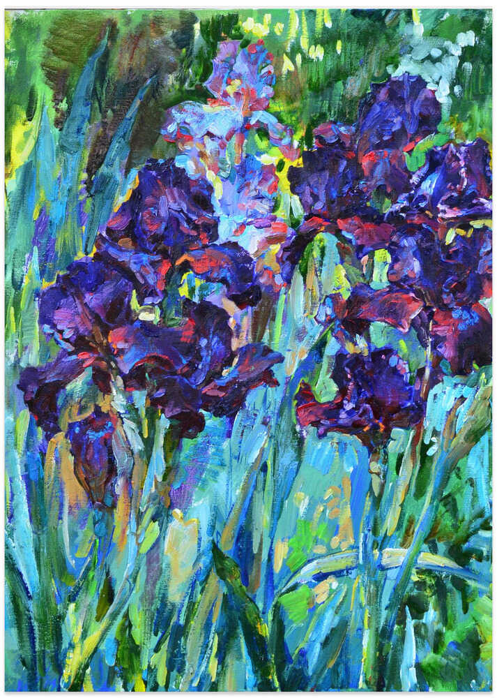 Irises in the Morning Light
