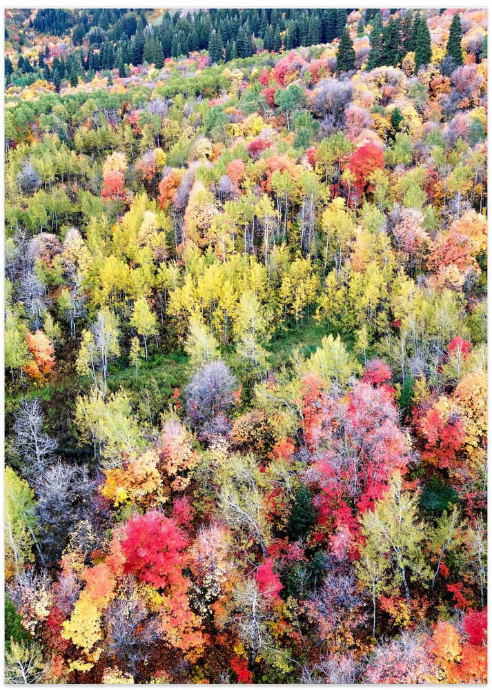 Aerial Fall Mountain