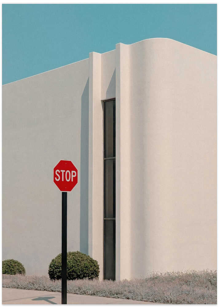 Stopped for the view