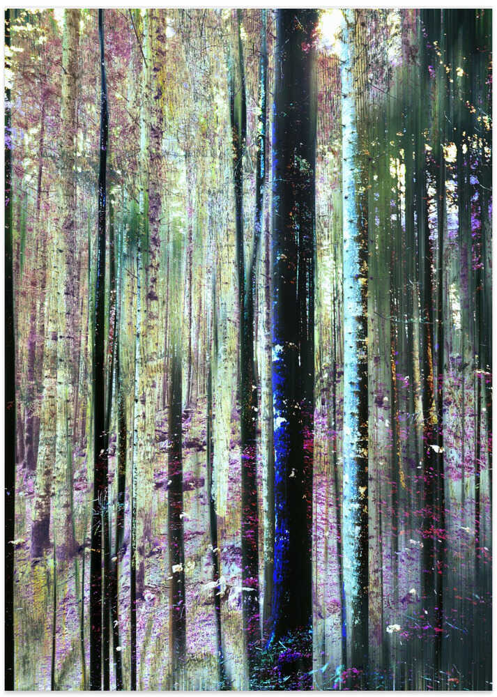 Expressionist Forest