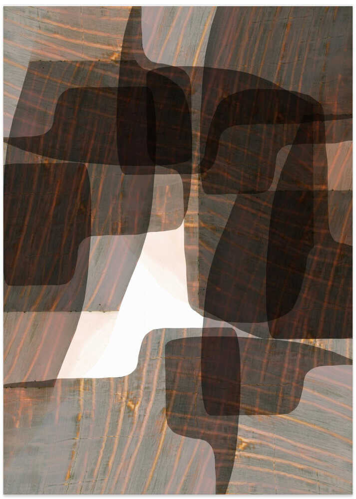 Fluid Abstract Shapes