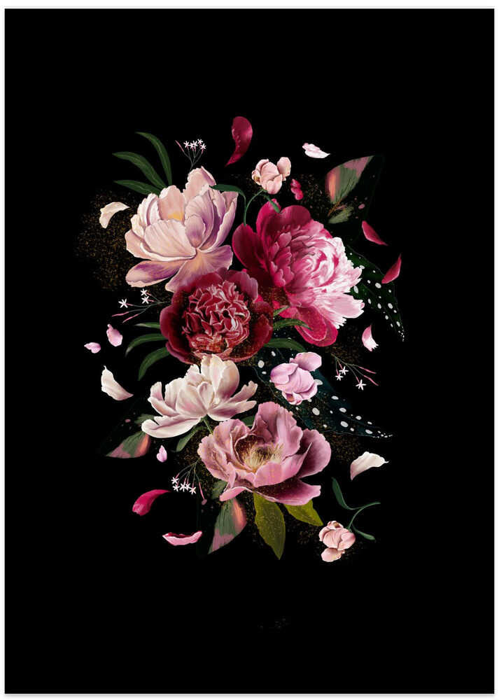 Pink Peonies Explotion Black Artwork