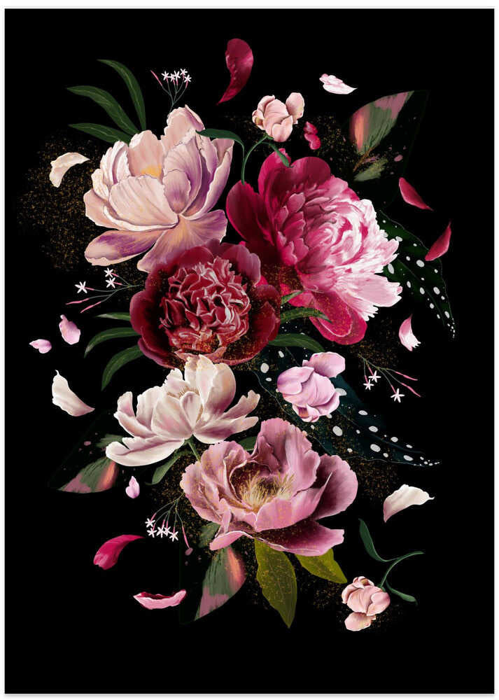 Pink Peonies Explotion Black Artwork