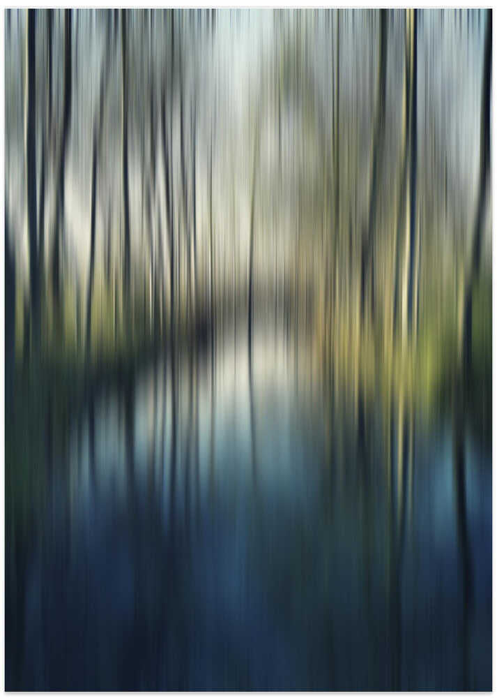 A Walk In the Countryside