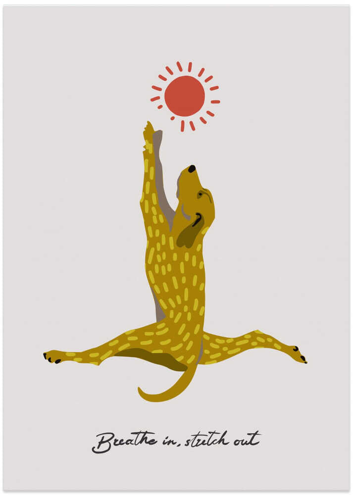 Yoga Dogs - Breathe in, stretch out
