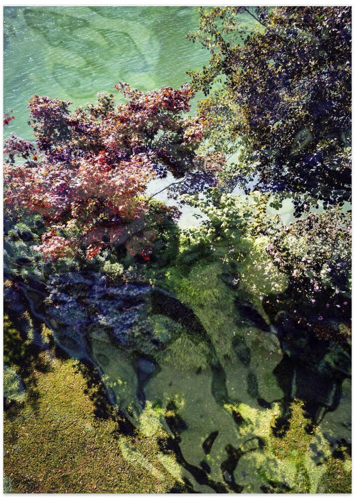 A Garden By the River