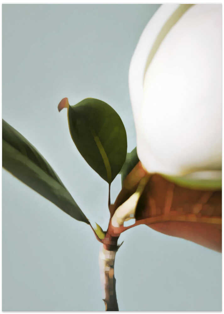 Magnolia Stem