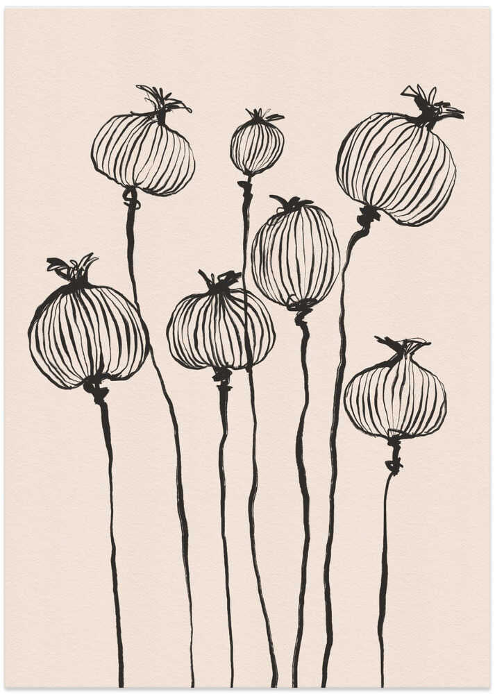 Poppy Pods
