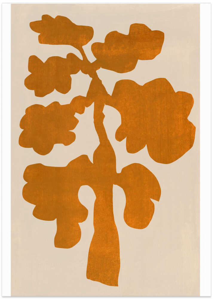 Bold Botanicals Tangerine Tango