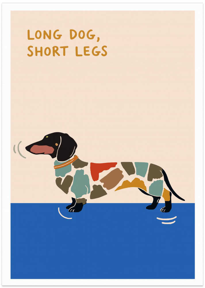 Long Dog, Short Legs
