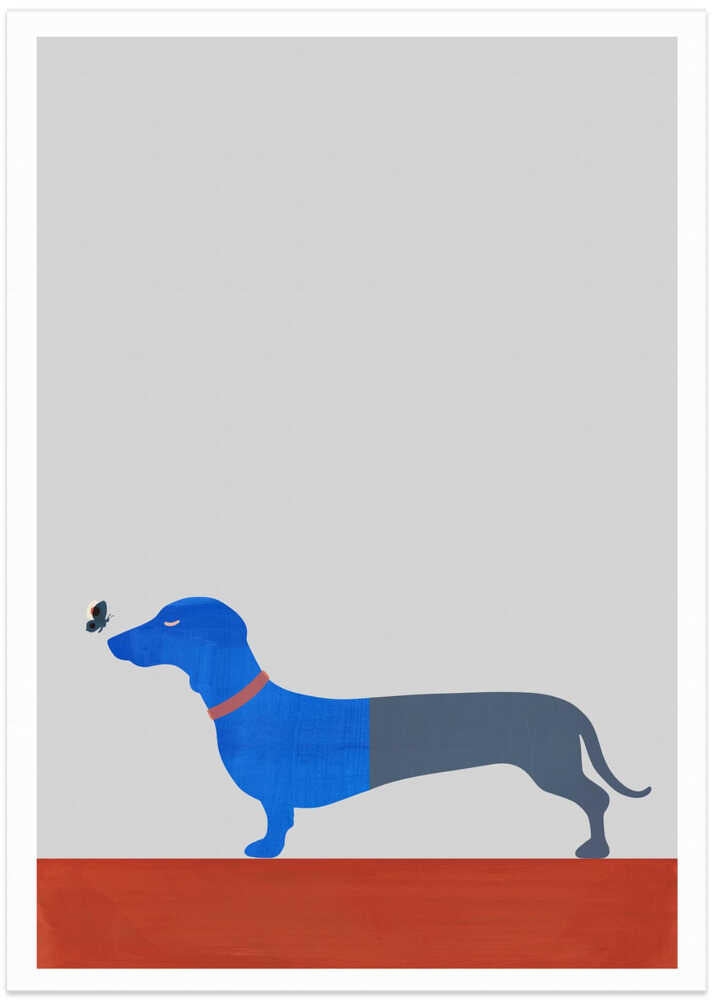 Blue Dachshund and Butterfly