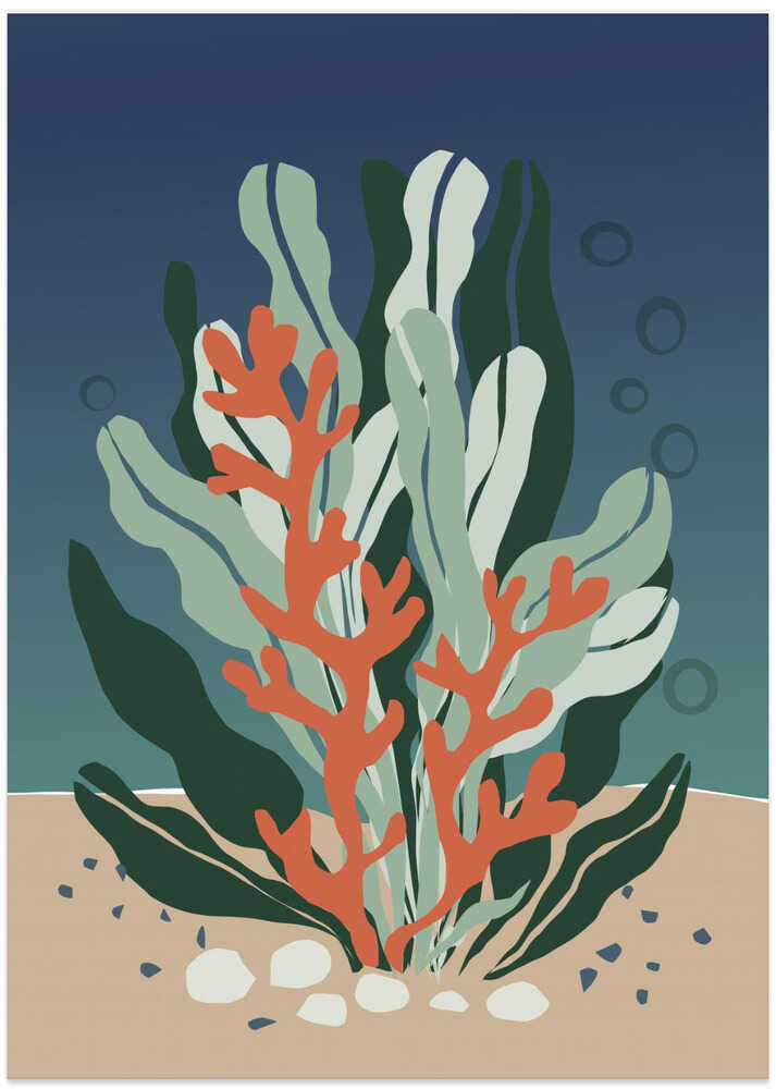 Underwater Coral and Seaweed Garden