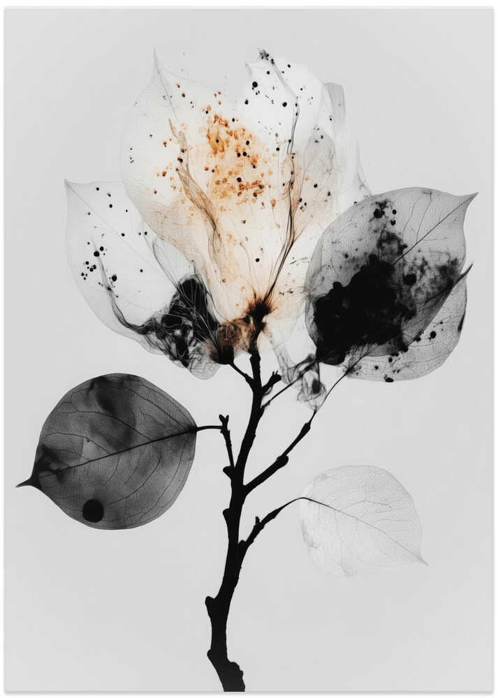 Efemer Fragile By Catsanddotz Ltrm