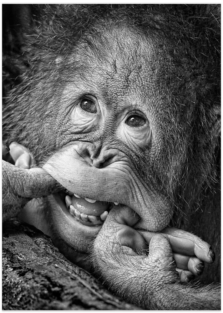 Big Smile.....please