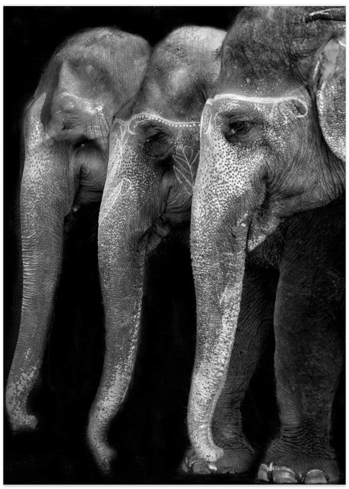 Nature's great masterpiece, an elephant; the only harmless great thing ...