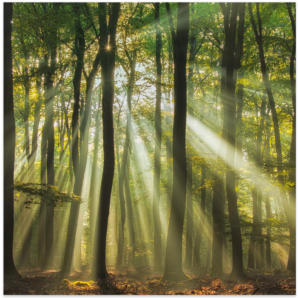 Sunny start to the day ........