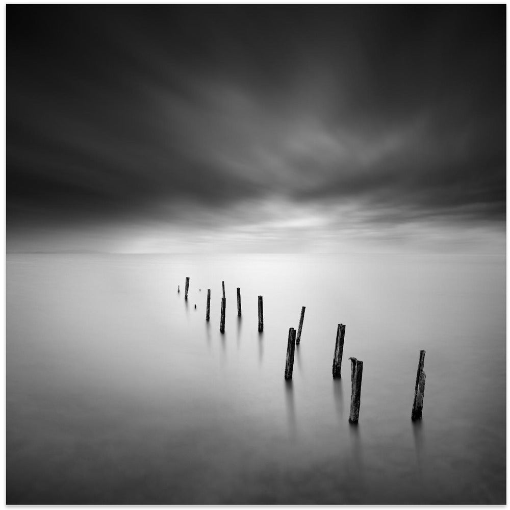 Symphony of the Seas