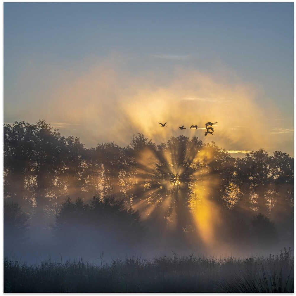 the Netherlands in the early morning