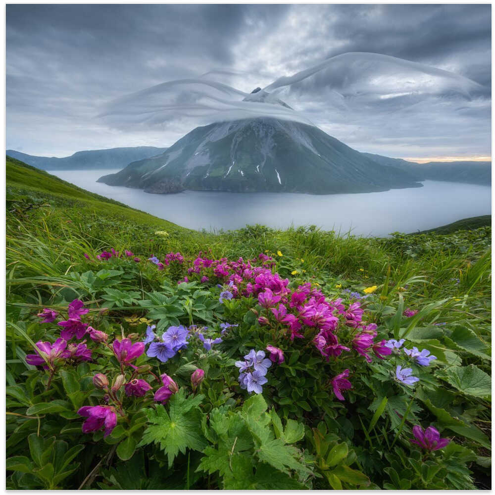 Flowers and wings...