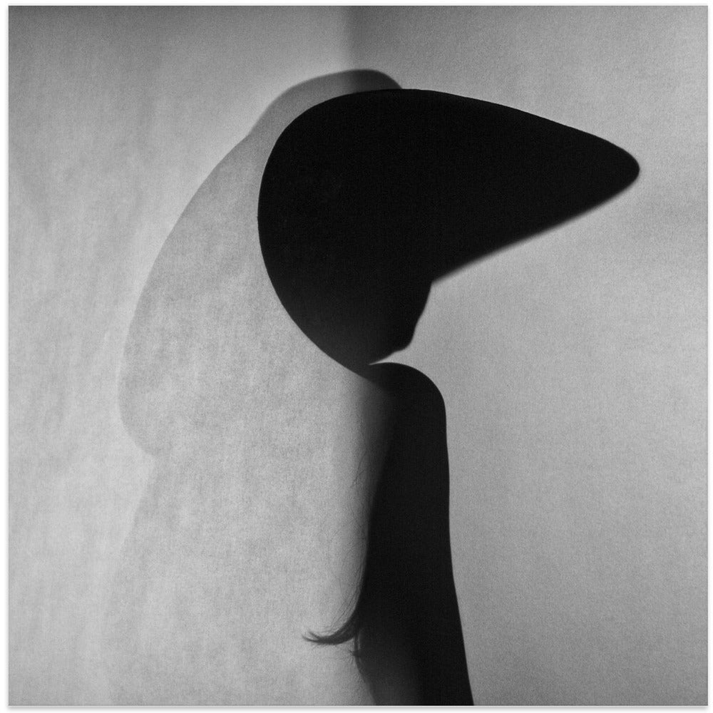 Art Prints of Chinese paper theater