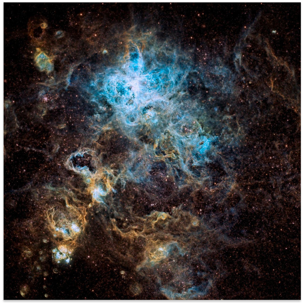 Tarantula Nebula