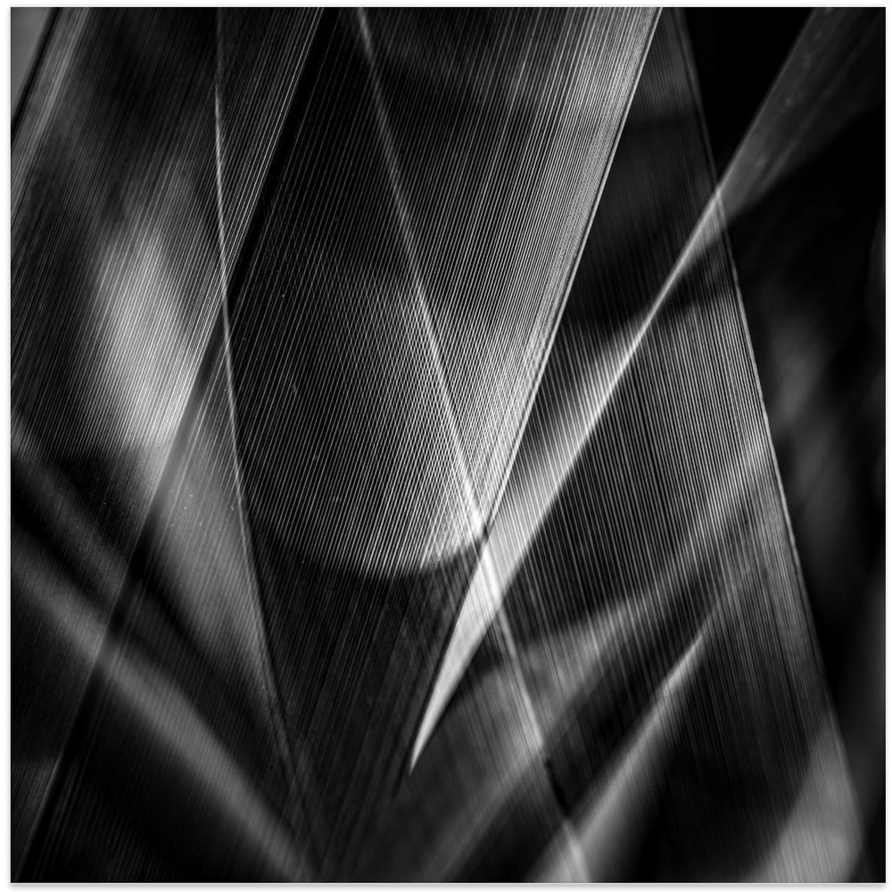 Art Prints of Shadows & edges �