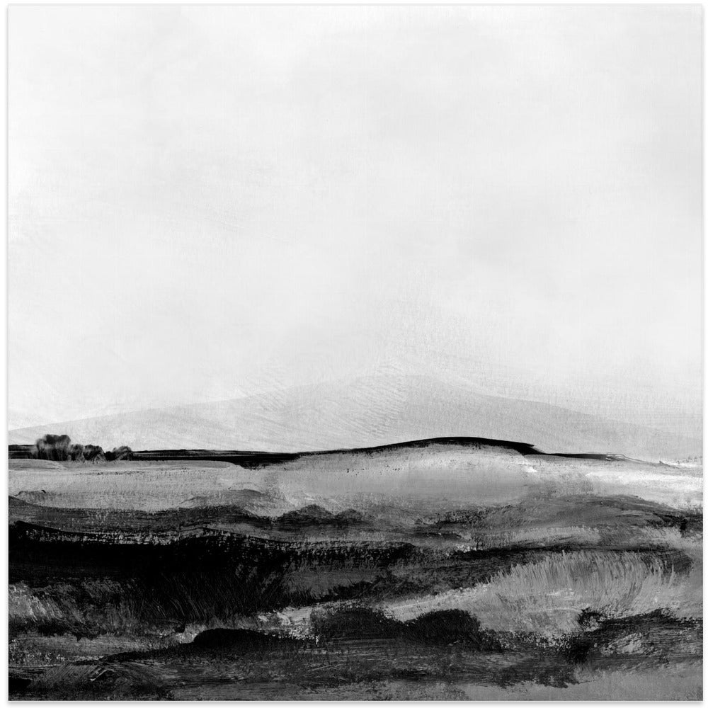 Art Prints of Mono Landscape No1