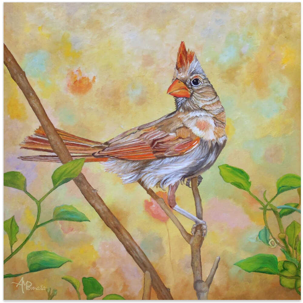 Female Cardinal Portrait