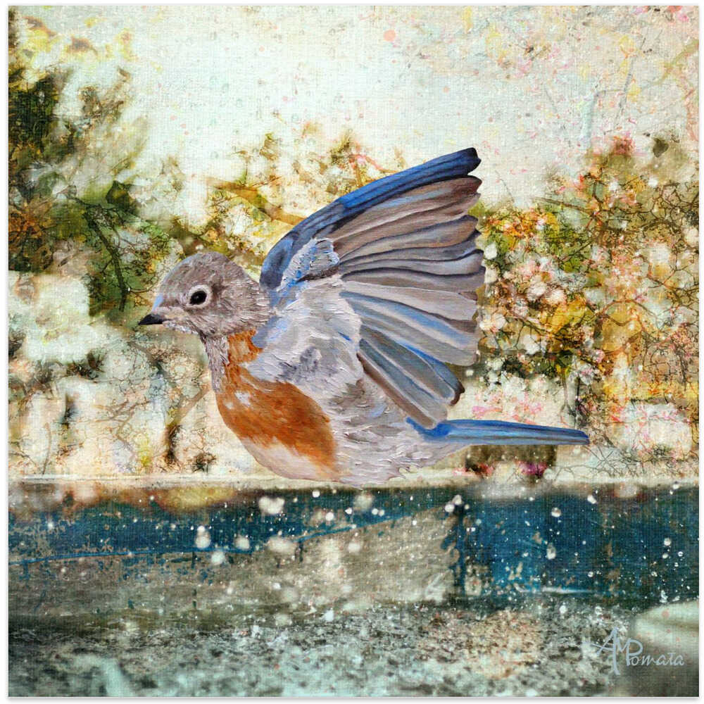 Swinging In the Rain